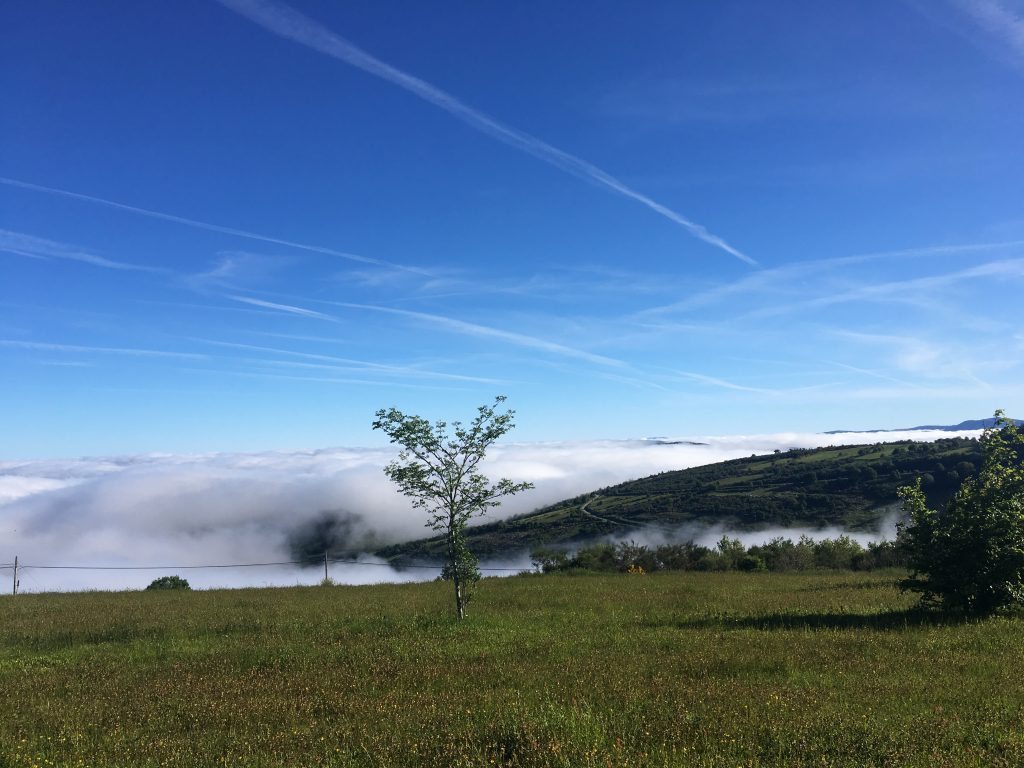 Camino de santiago